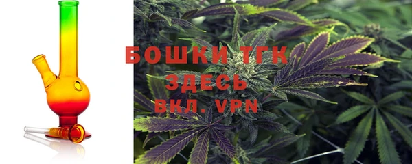 индика Осташков
