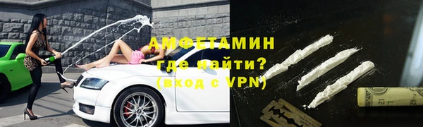 индика Осташков