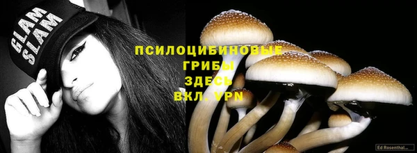 метадон Пестово
