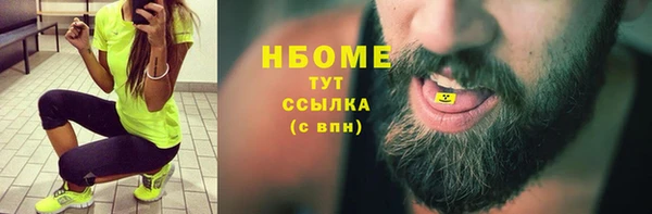 индика Осташков