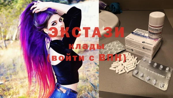 индика Осташков