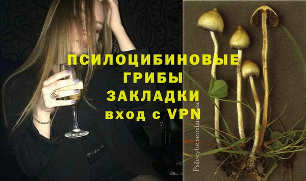 прущая мука Пересвет