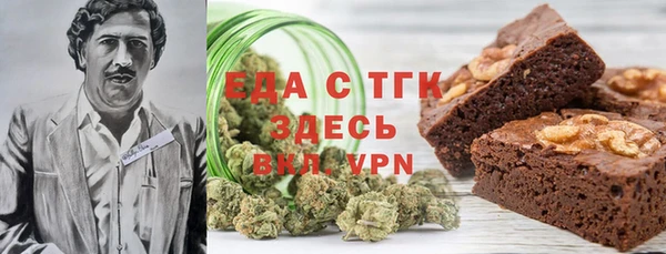 индика Осташков