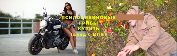 спайс Ельня