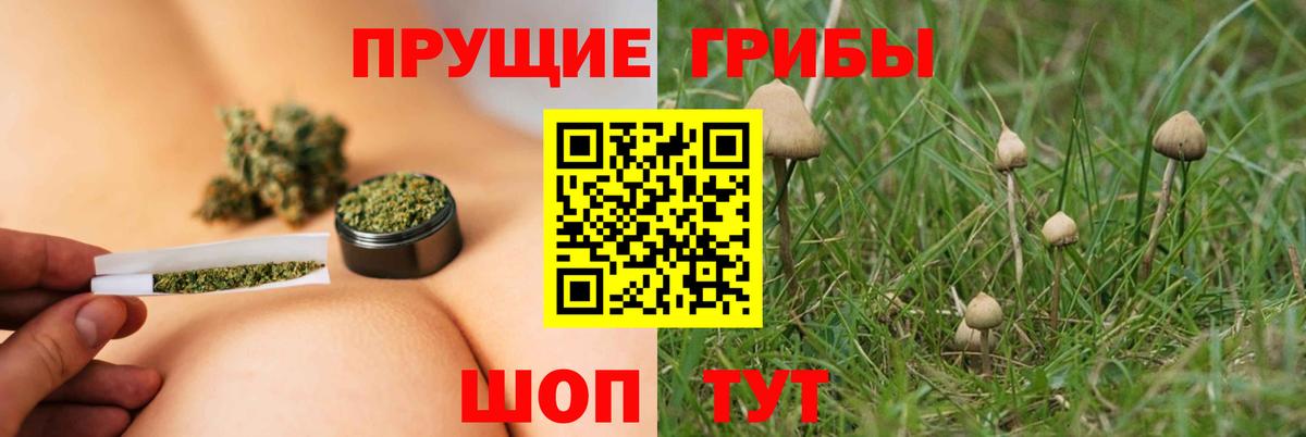 Псилоцибиновые грибы ЛСД  Вход с VPN  Кубинка 